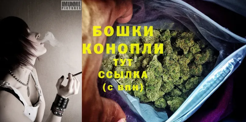 hydra ссылки  Димитровград  Шишки марихуана OG Kush 